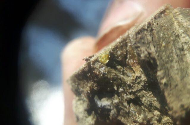 An impact spherule (glass bead) from the Tanis event deposit in North Dakota.