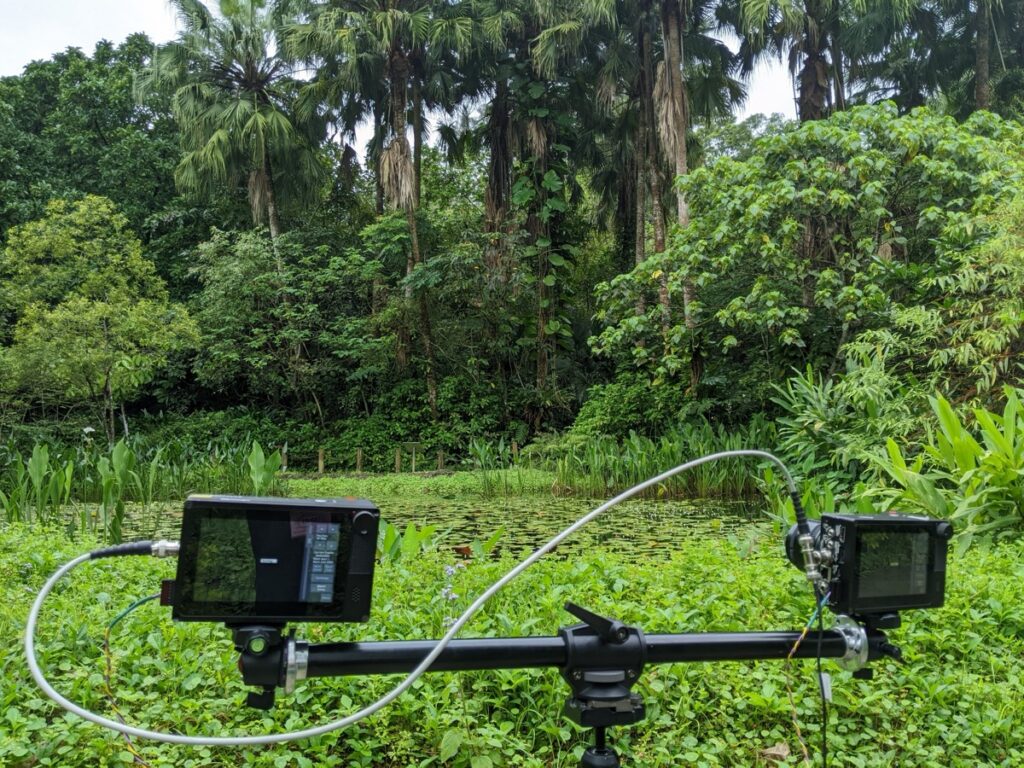 Experimental setup of high-speed cameras in the field