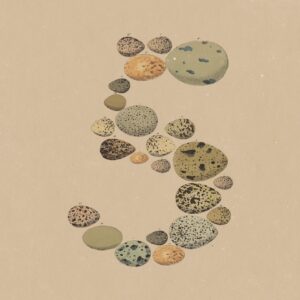 An abstract image of the number 5