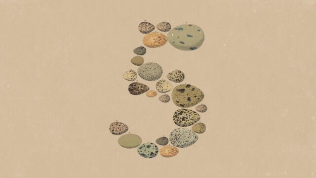 An abstract image of the number 5
