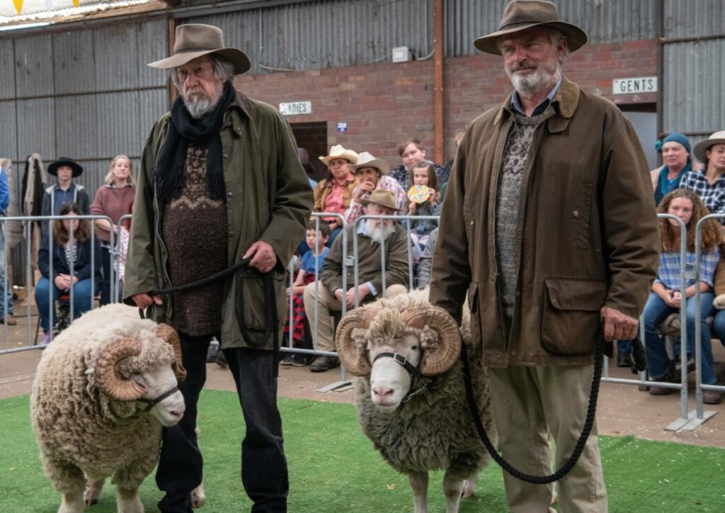 two elderly sheep farmers at a village fair displaying their respective rams