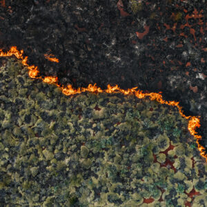 Senators demand crackdown on wildfire “prediction markets”