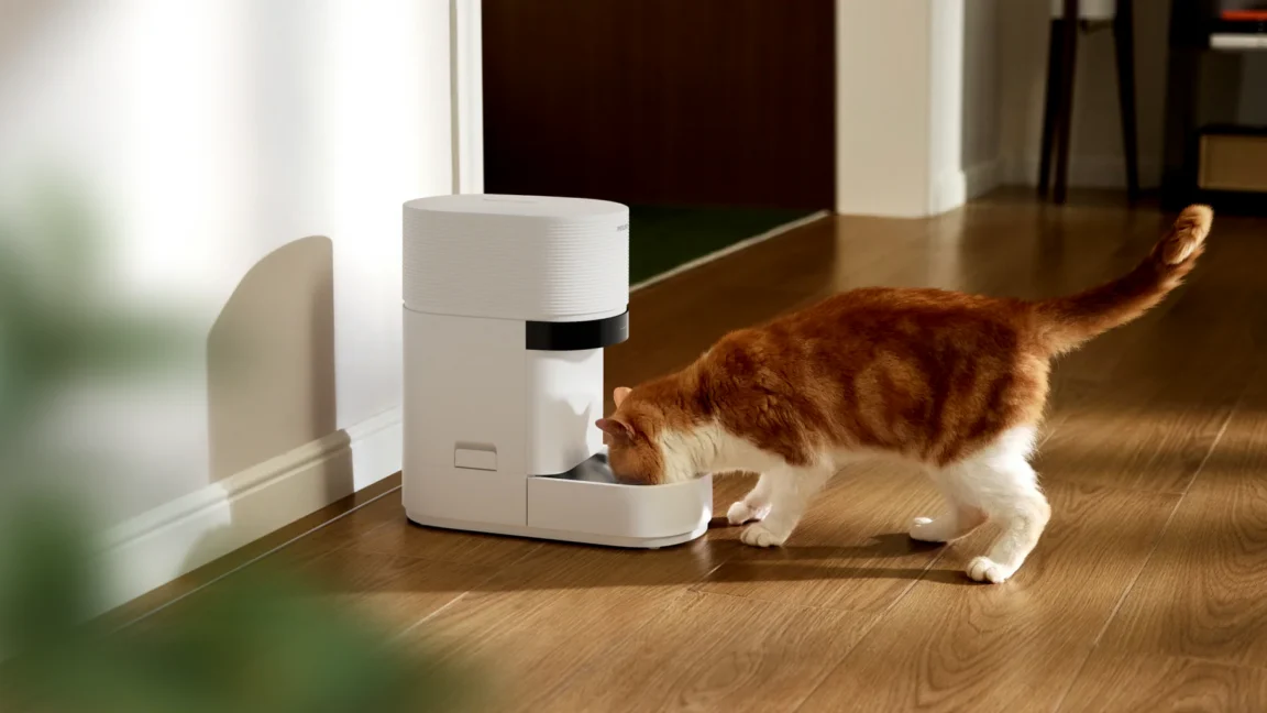 Pet owners say smart pet feeder outage led to furry ones going unfed