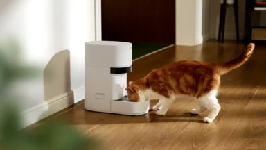 A cat eating from a Granary 2.