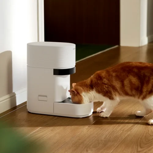 Pet owners say smart pet feeder outage led to furry ones going unfed
