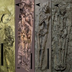 Theban tomb reveals how Egyptian burial trends evolved in time