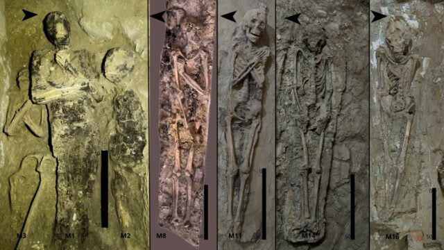 Mummified individuals from Side Chamber 3 of Theban Tomb 209, showing variation in body orientation and arm position.