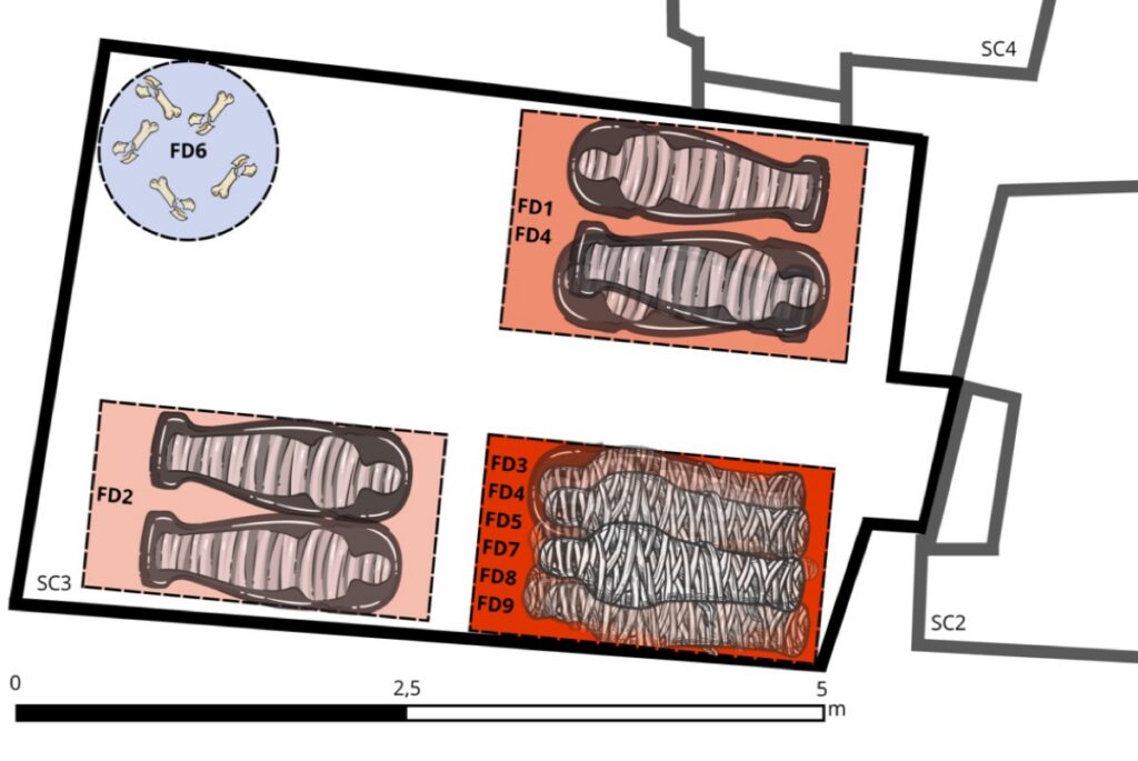 Schematic plan of SC3 in TT 209 showing the approximate spatial distribution of funerary deposits