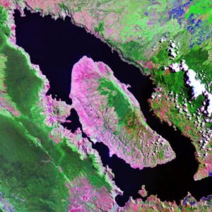Mount Toba eruption doesn’t seem like it could nearly kill our species