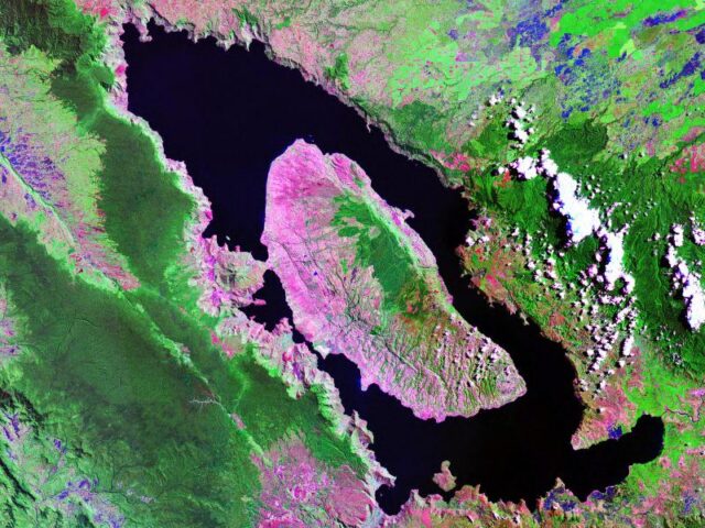 False colored image of a oval-shaped lake with a large island in it.