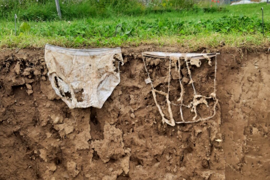 A pair of cotton underwear—one slightly decomposed and one heavily decomposed—in front of the ground profile of a meadow