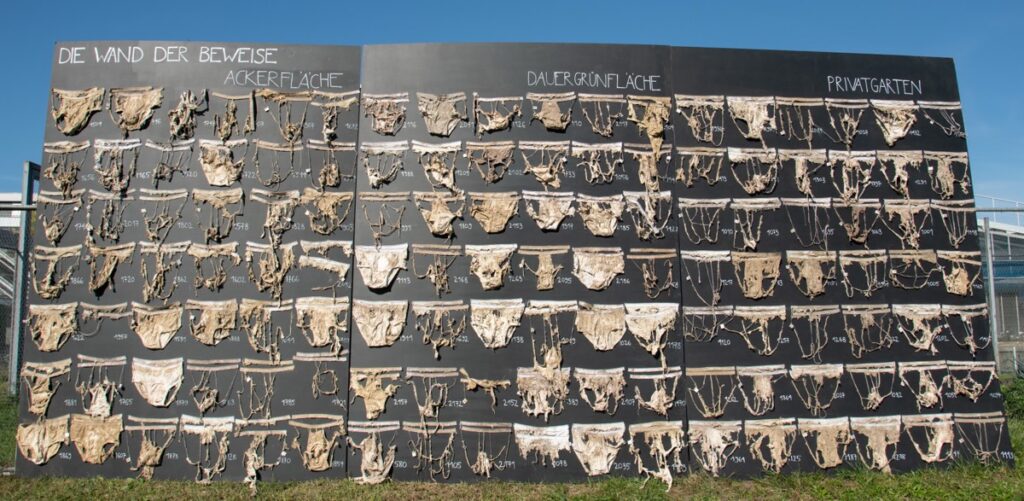 A selection of the more than 2,000 cotton underwear items in various stages of decomposition that were buried in fields, meadows, and gardens.