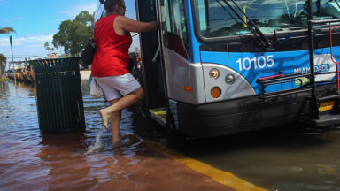 Image of a person boarding a bus that's stopped in ankle-deep water.