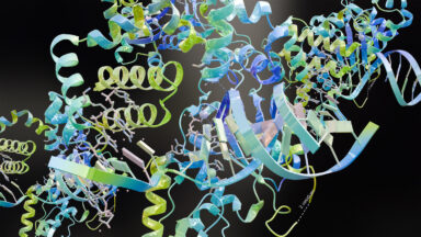 A multi-colored set of linked ribbons, coils, and swirls, meant to represent the backbone of a protein.