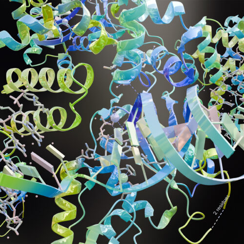 Google figures out how to watermark AI-designed proteins