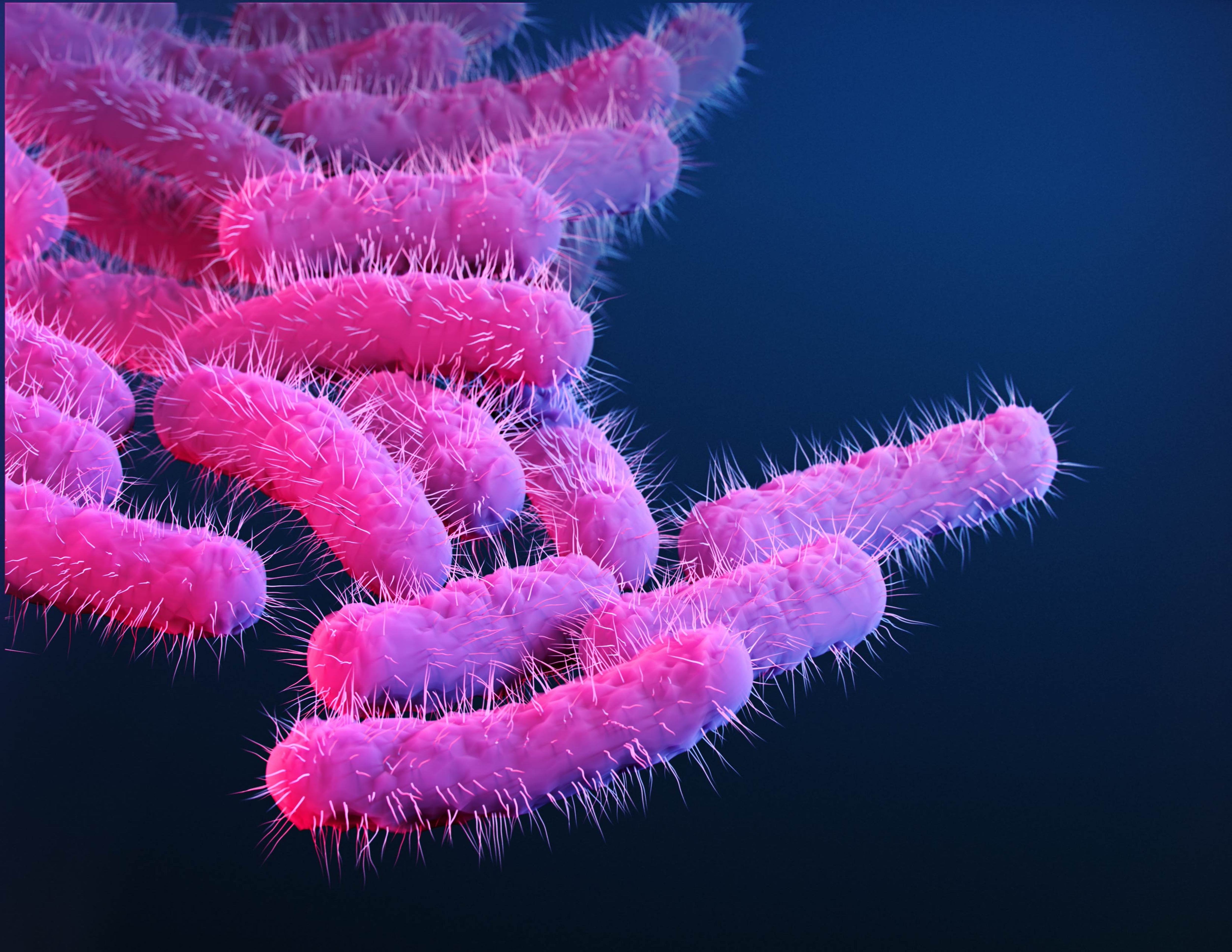 150 research primates got diarrhea, flooding lab with priceless vaccine data