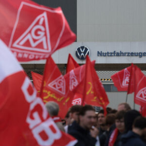 people protesting with flags