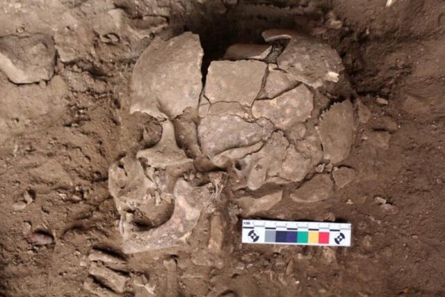 The CPL-2a skeleton in the trench.