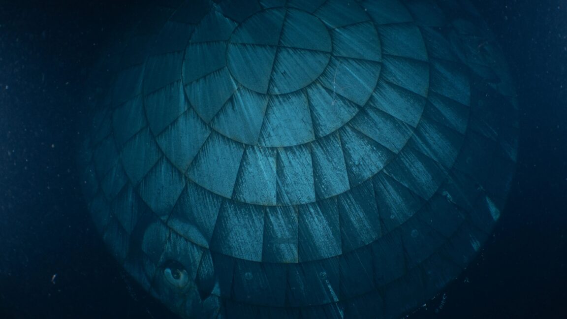 It turns out that Orion's much-maligned heat shield performed really well