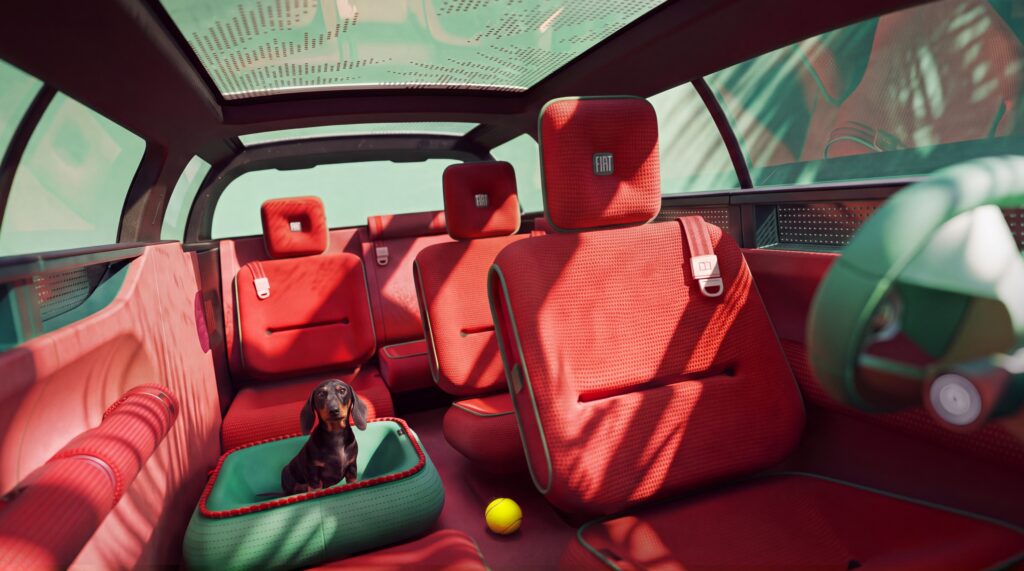 Interior of Fiat Mutiplay with a dog in the dog bed