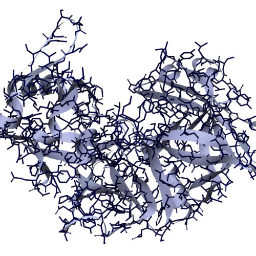 Researchers use AI to design proteins that cut up other proteins
