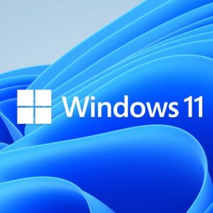 The MS Windows 11 logo