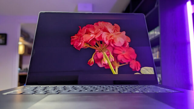 The Surfarce Laptop Ultra's screen displays a video of a bright red flower over a black background.