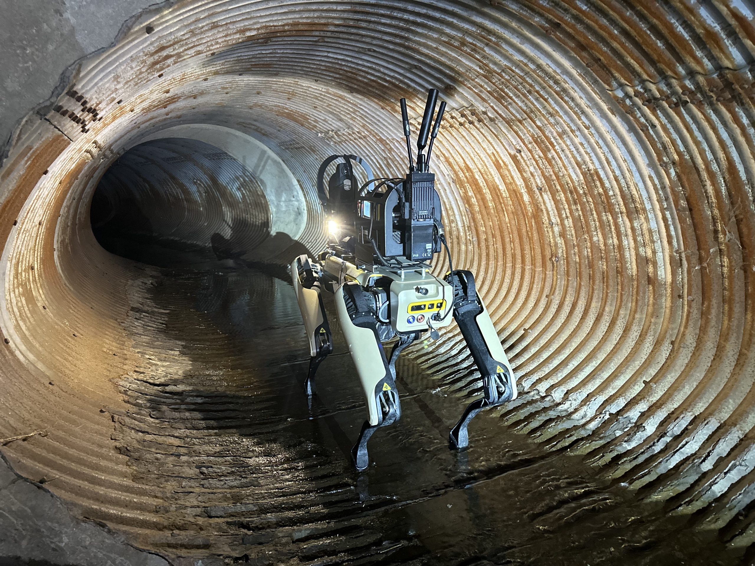The Cerberus quadruped robot sold by Radeco is a modified version of the Boston Dynamics robot Spot upgraded with military-grade equipment and designed to detect dangerous substances.