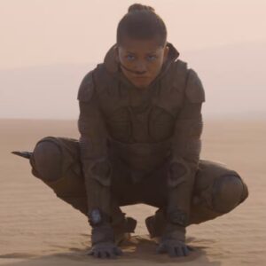 Zendaya as Chani, shown here in full desert gear, crouching in the sand