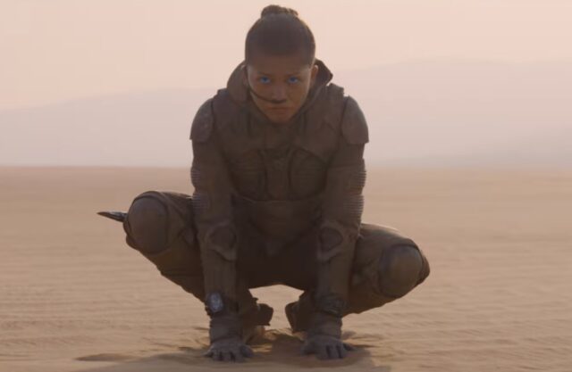 Zendaya as Chani, shown here in full desert gear, crouching in the sand