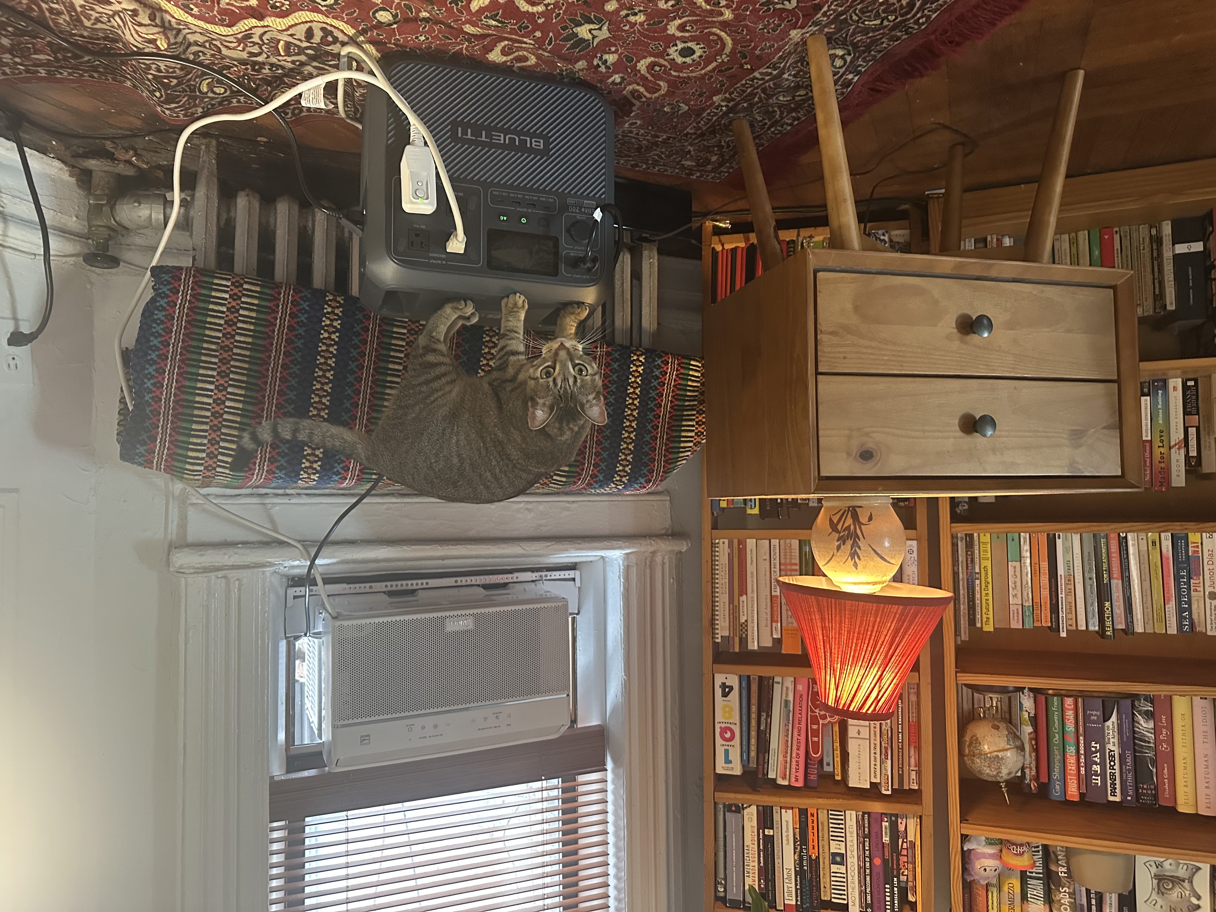 How I kept cool with NYC's free battery program for window AC units