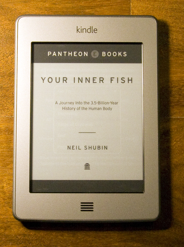 Displaying books is the Kindle's strong suit.