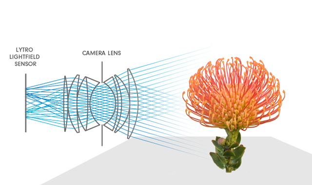 Lytro's new light field camera lets you focus after you take a