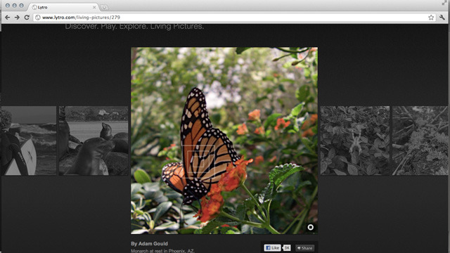 Using Lytro's web-based "living image" viewer, simply click on any point in the image to instantly change the focus point.