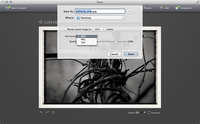 Flare offers much more flexible file export options, including JPEG, PNG, and TIFF.