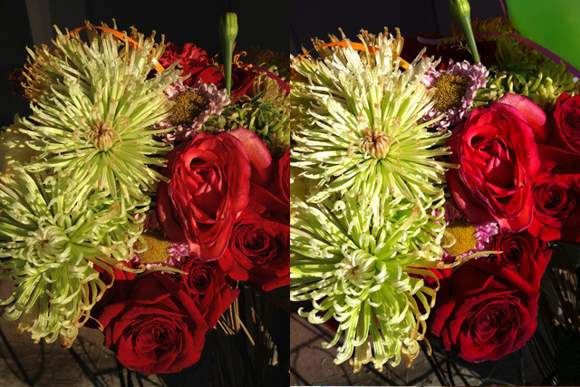 Left: iPhone 4S, 1/3500 f/2.4 ISO80. Right: iPhone 4, 1/1150 f/2.8 ISO64.