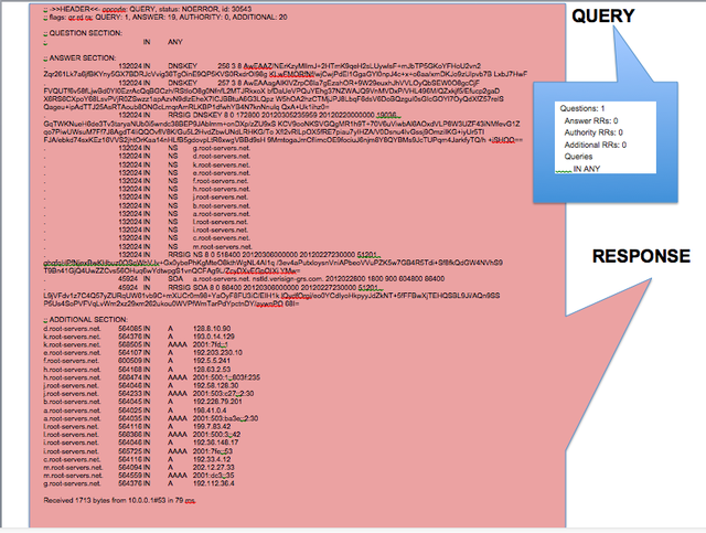 A comparison of the payloads of a DNS "root hint" query and its response. Not all data shown.