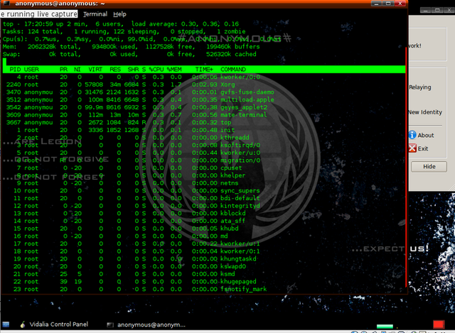 A look through the processes running on the system, viewed as root. I checked the processes running and sniffed the network connection with WireShark to be sure there was no badness at work, and found nothing overly concerning. The rootkit tools rkhunter and chkrootkit  also came up empty.