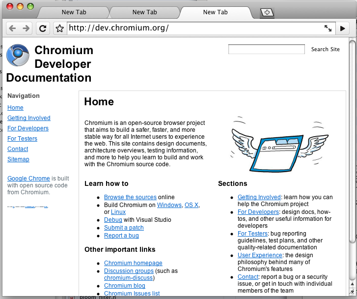 FirstChromePageEver.png