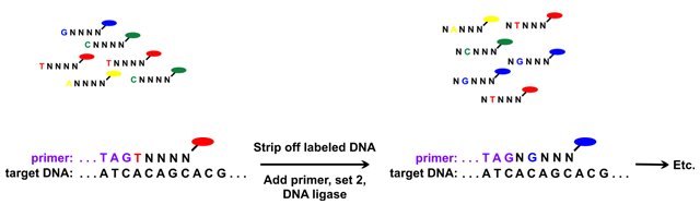 Complete Genomics produces a cheap—well, $5,000—human genome | Ars Technica