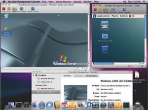 Windows Server and Linux guest OSes running side-by-side on a Mac OS X Server. Image courtesy Parallels.