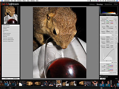 Adobe Lightroom Beta: First Impressions - Ars Technica