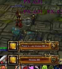 Wow… first level 80 in World of WarCraft in 27 hours