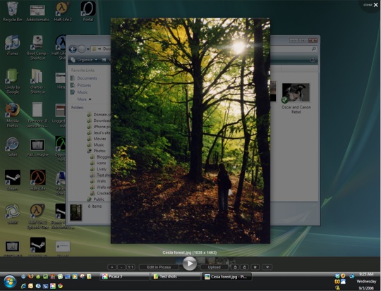 picasa 3.9 build136.18