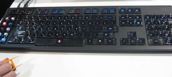 oled keyboard optimus maximus