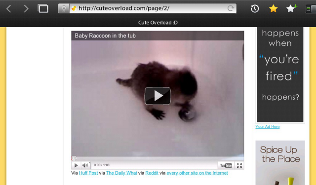 Watching fuzzy baby animals with Flash in the PlayBook browser