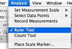 Adobe Photoshop CS3 rulers