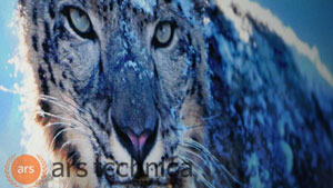 latest version of safari for mac snow leopard