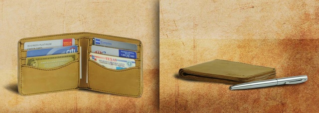 wallet-jan2010.jpg