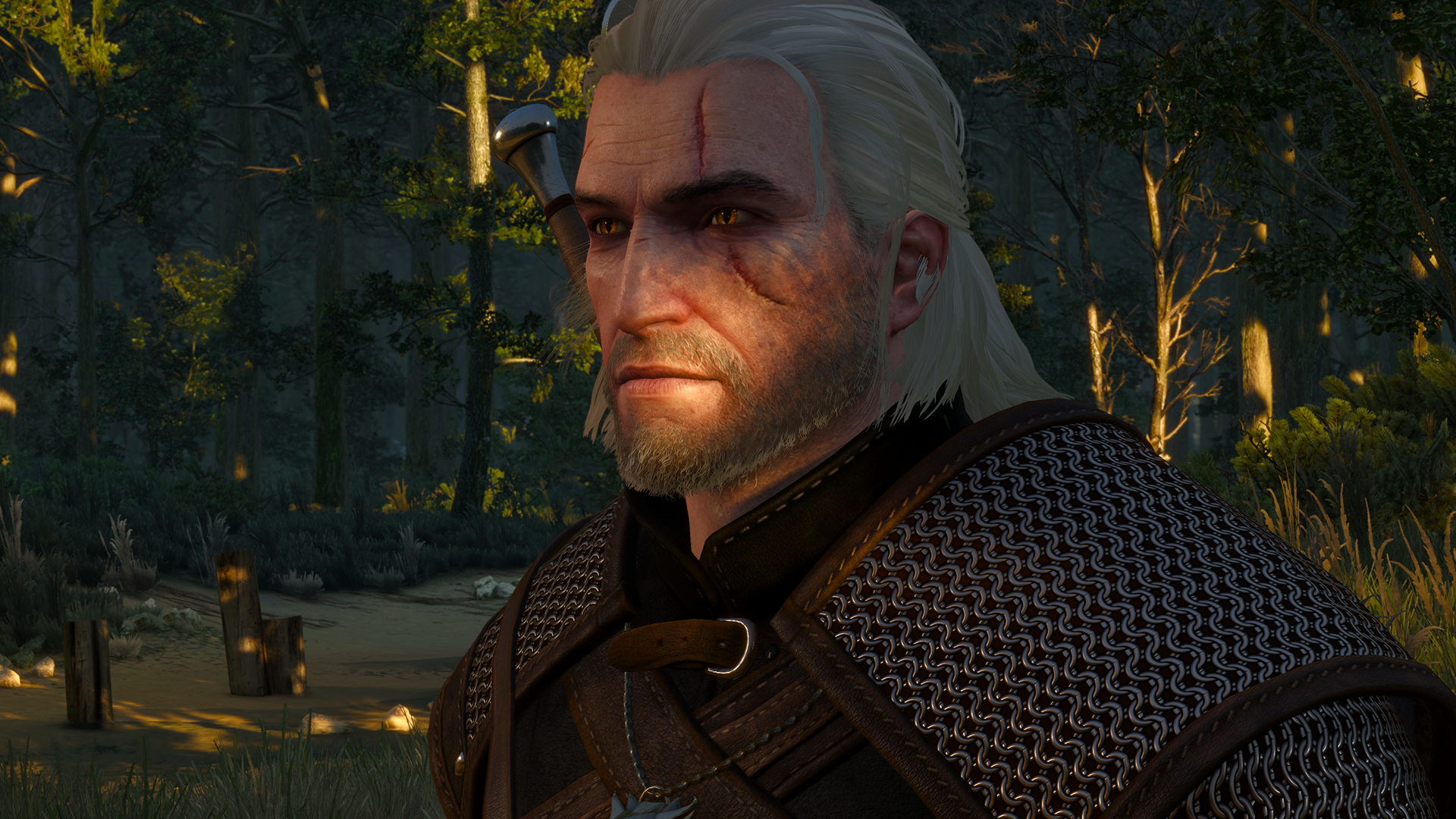 graphic card benchmark witcher 3